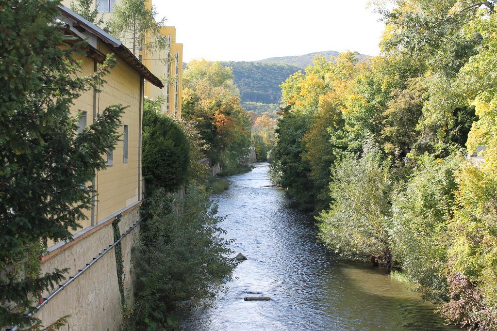 Aurelius Pension Baden bei Wien Zewnętrze zdjęcie