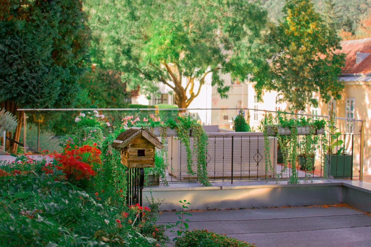 Aurelius Pension Baden bei Wien Zewnętrze zdjęcie
