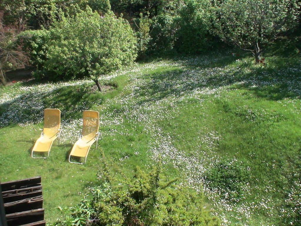 Aurelius Pension Baden bei Wien Zewnętrze zdjęcie