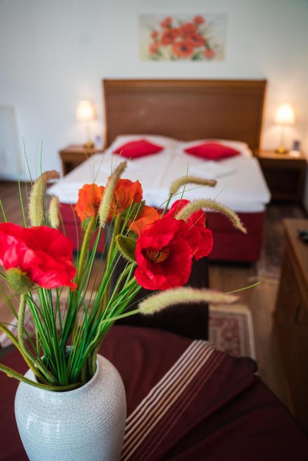Aurelius Pension Baden bei Wien Zewnętrze zdjęcie